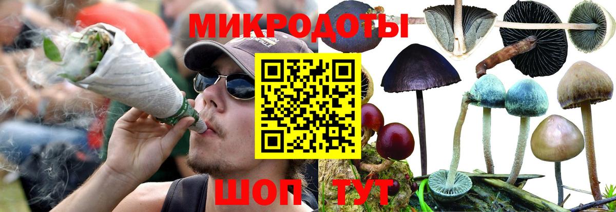 Псилоцибиновые грибы мицелий Серов